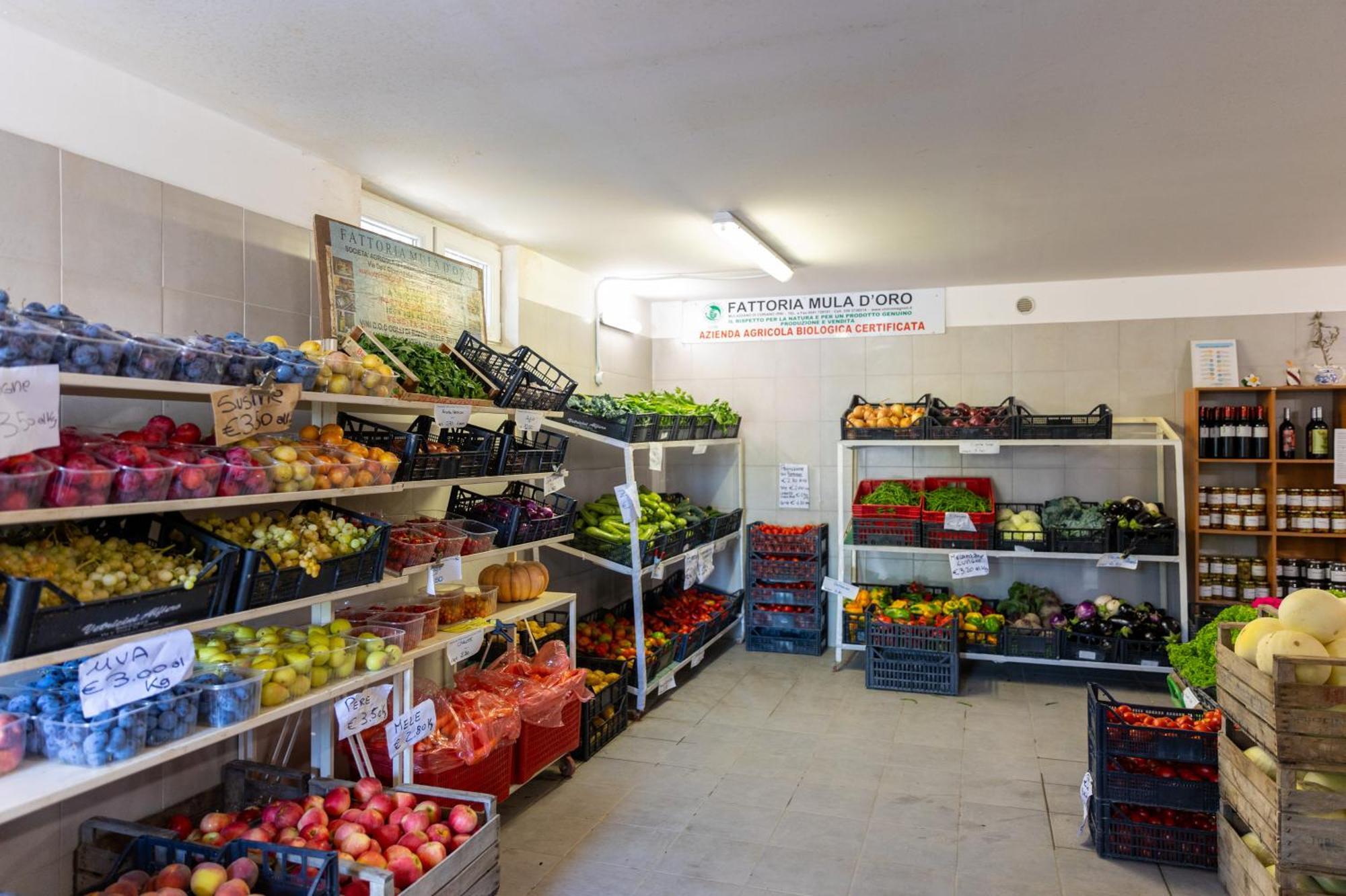 Bio Fattoria Mula D'Oro - Biofattoriamuladoro It - Organic Food, Nature & Relax Mulazzano Exterior foto