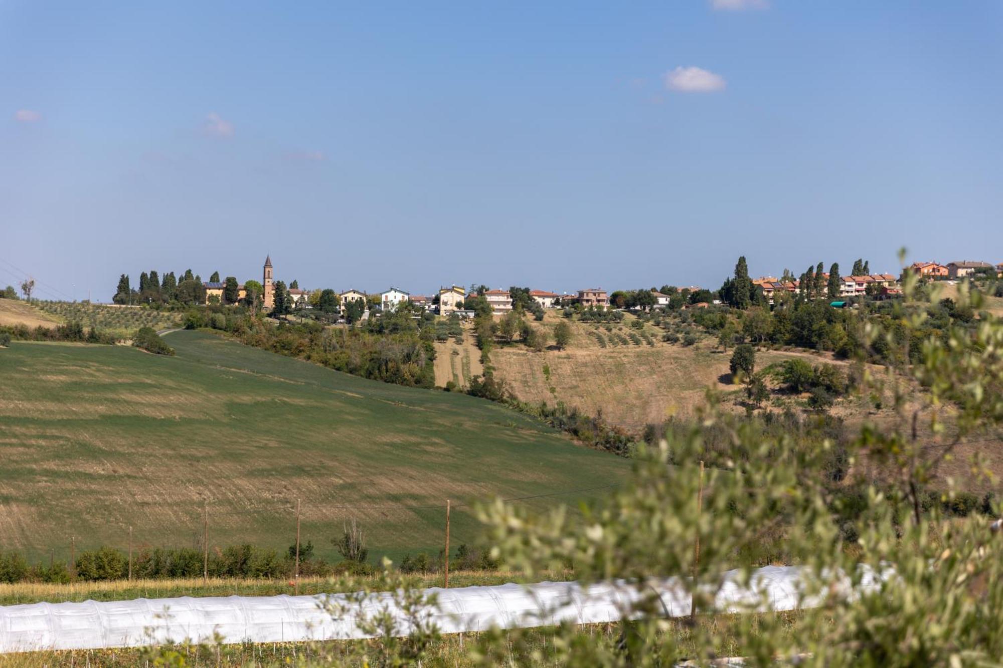 Bio Fattoria Mula D'Oro - Biofattoriamuladoro It - Organic Food, Nature & Relax Mulazzano Exterior foto